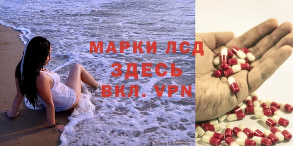 трава Абаза